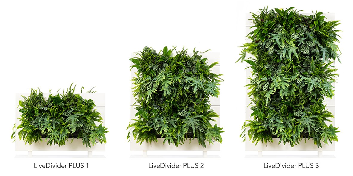 LiveDivider PLUS detail